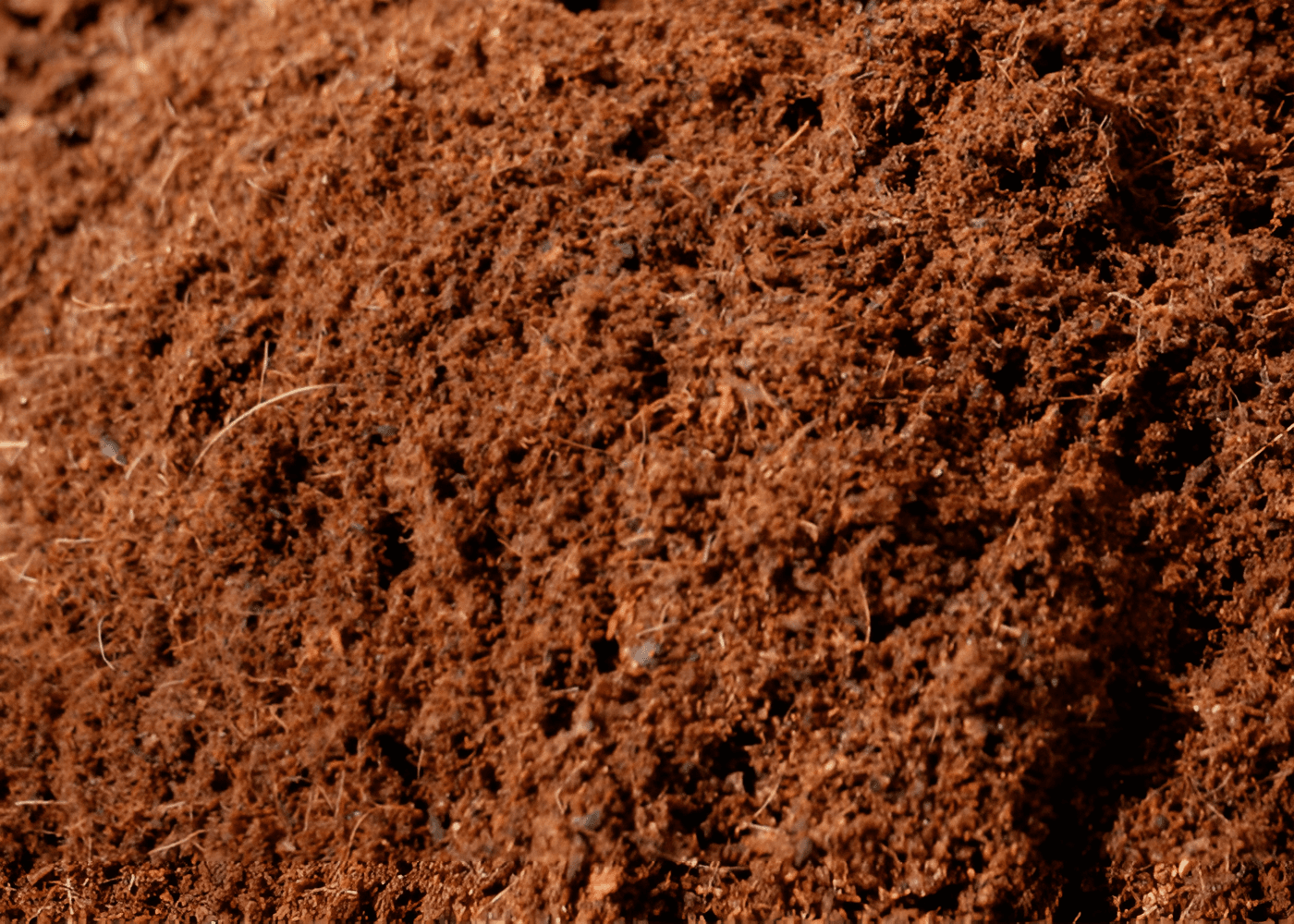 Cocopeat High EC - Premium quality coconut product from WebAdam