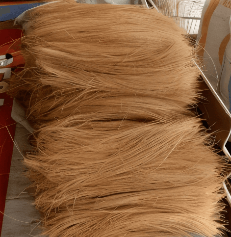 Cocobristle - Premium quality coconut product from WebAdam